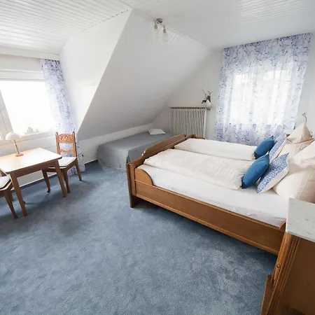 Gaestehaus-weingut Loersch 3* Leiwen