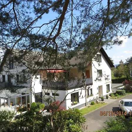 Gaestehaus-weingut Loersch 3* Leiwen
