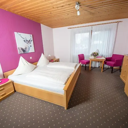 Gaestehaus-weingut Loersch Pensionat
