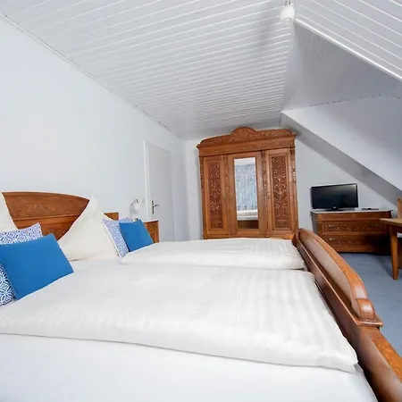 Gaestehaus-weingut Loersch 3* Leiwen