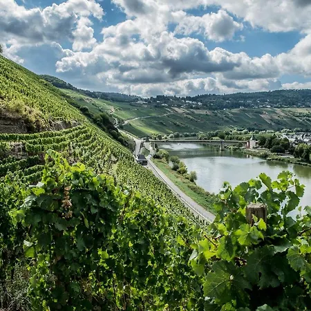 Vendégház Gaestehaus-weingut Loersch 3*