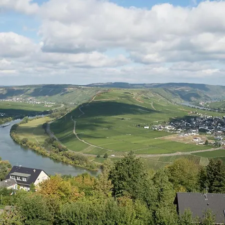 Gaestehaus-weingut Loersch ゲストハウス 3*