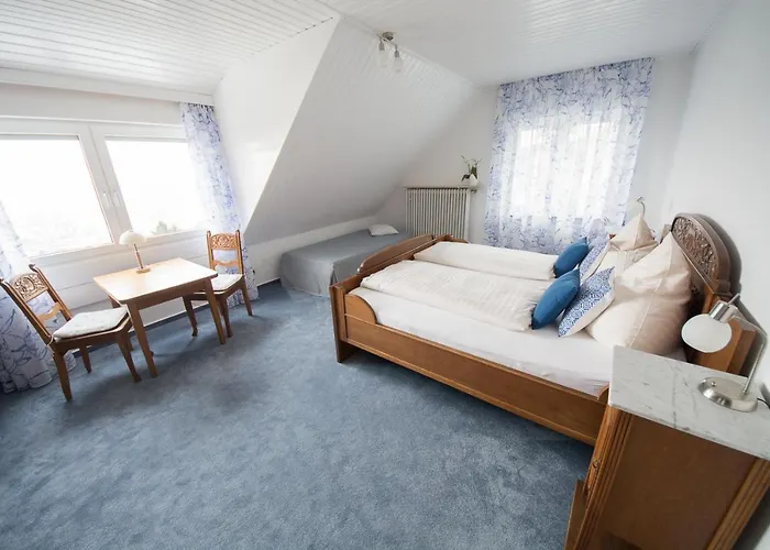 Gaestehaus-weingut Loersch 3* Leiwen