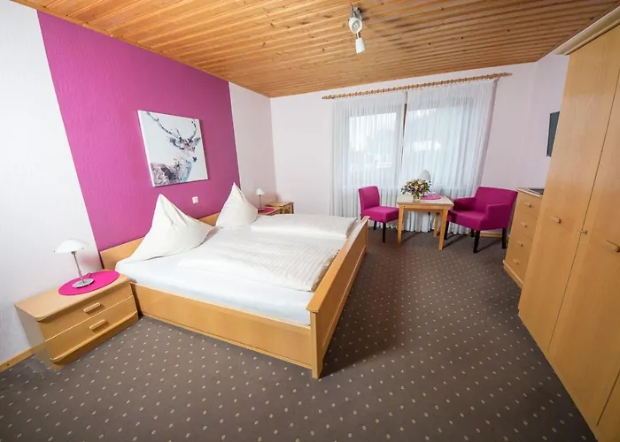 Gaestehaus-weingut Loersch Penzion