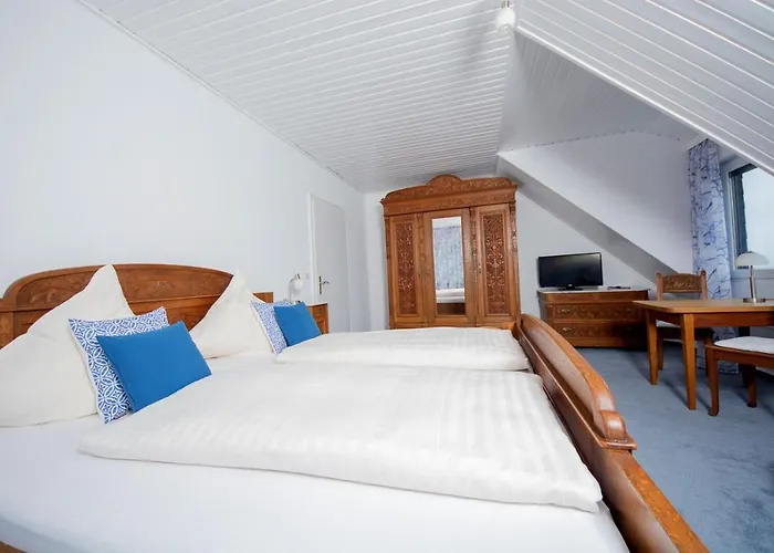 Gaestehaus-weingut Loersch 3* Leiwen