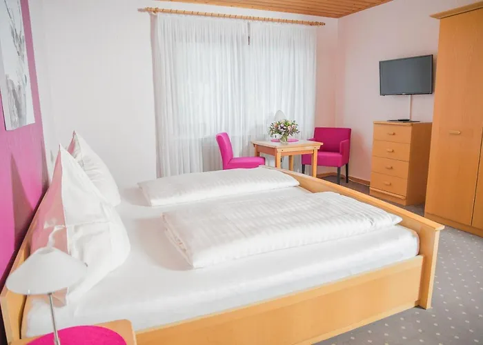 Gaestehaus-weingut Loersch 3* Leiwen