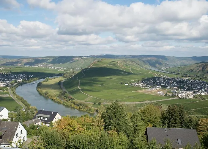 Gaestehaus-weingut Loersch Penzion 3*